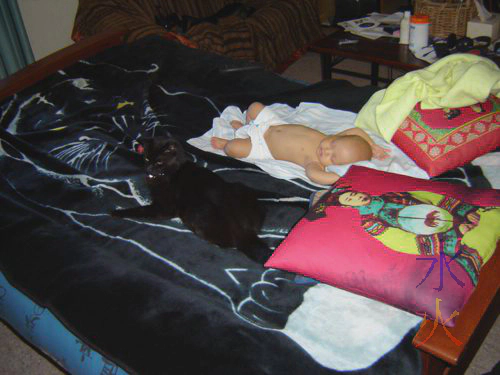 A baby and a cat occupy most of a futon in bed mode A baby and a cat occupy most of a futon in bed mode