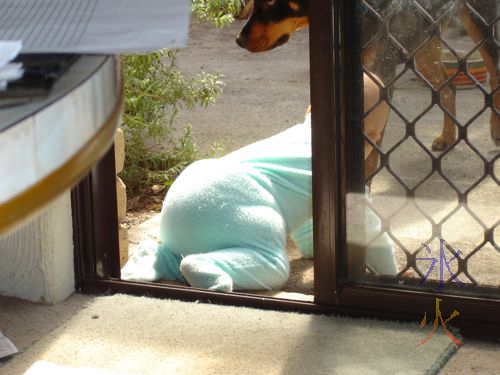 baby crawling out slidinng door