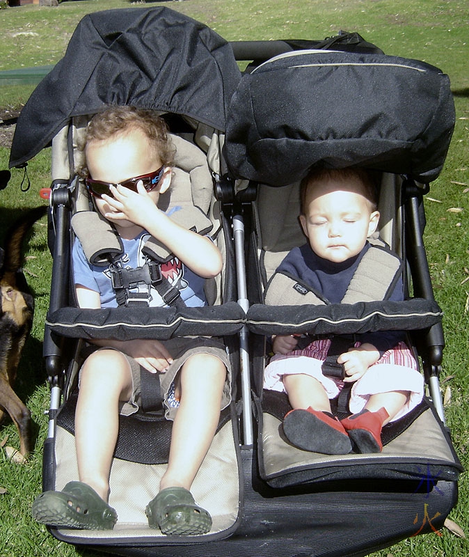 kids in twin pram