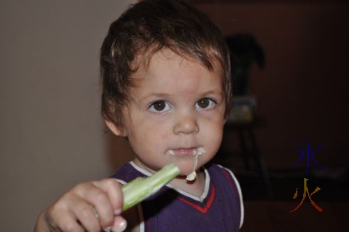 Toddler enjoying celery and dip