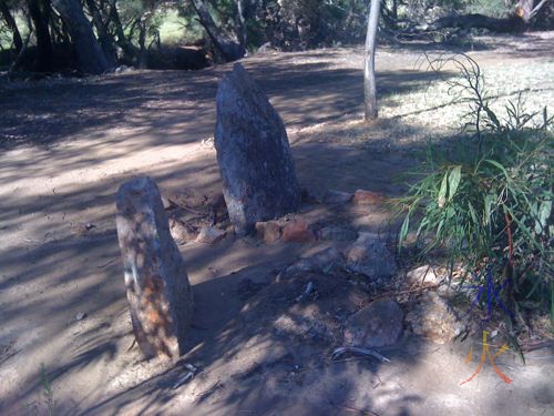 2-3 dog(?) graves in the second open area