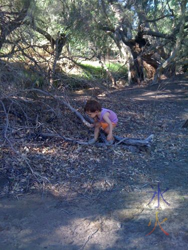 Toddler climbing over a fallen branch. For no apparent reason.