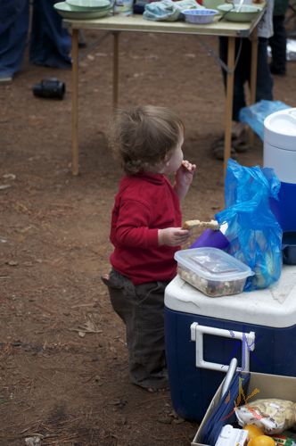 camping at Dwellingup