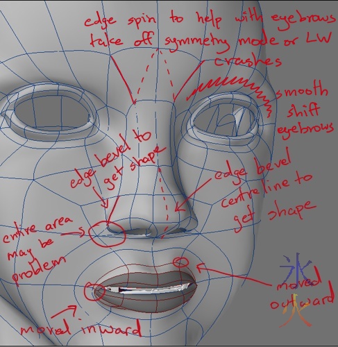 3d diagram showing where the model face tweaks are and highlighting problem areas