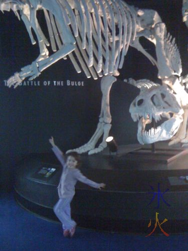 Dinosaur skeletons WA Museum