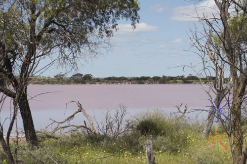 Pink salt lake