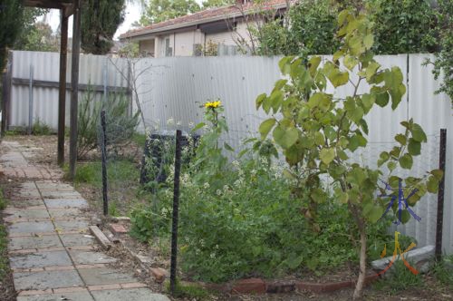 flowering food garden