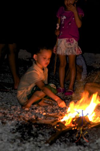 cooking marshmallows on a campfire