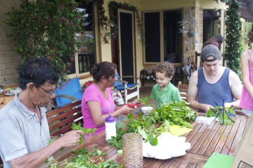 Processing chillies from the Christmas Island jungle