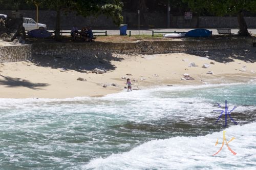 Shot of the Cove from the jetty