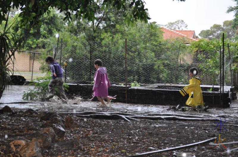 Playing in the rain