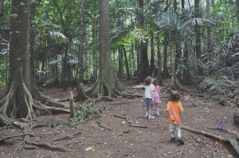Walking on the nature trail Walking on the nature trail