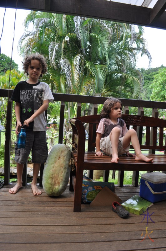 Giant winter melon