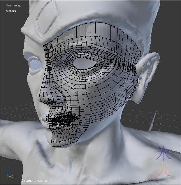 Face retopo