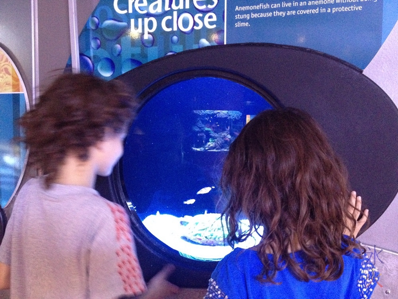 9yo and 7yo investigating 'Creatures up close'