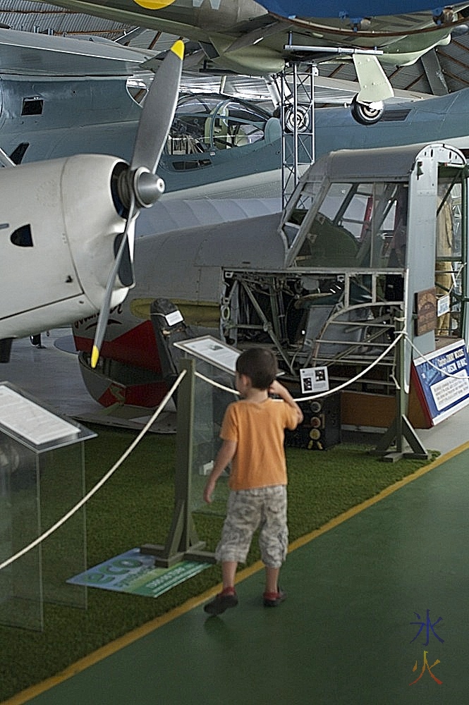 5yo looking at plane