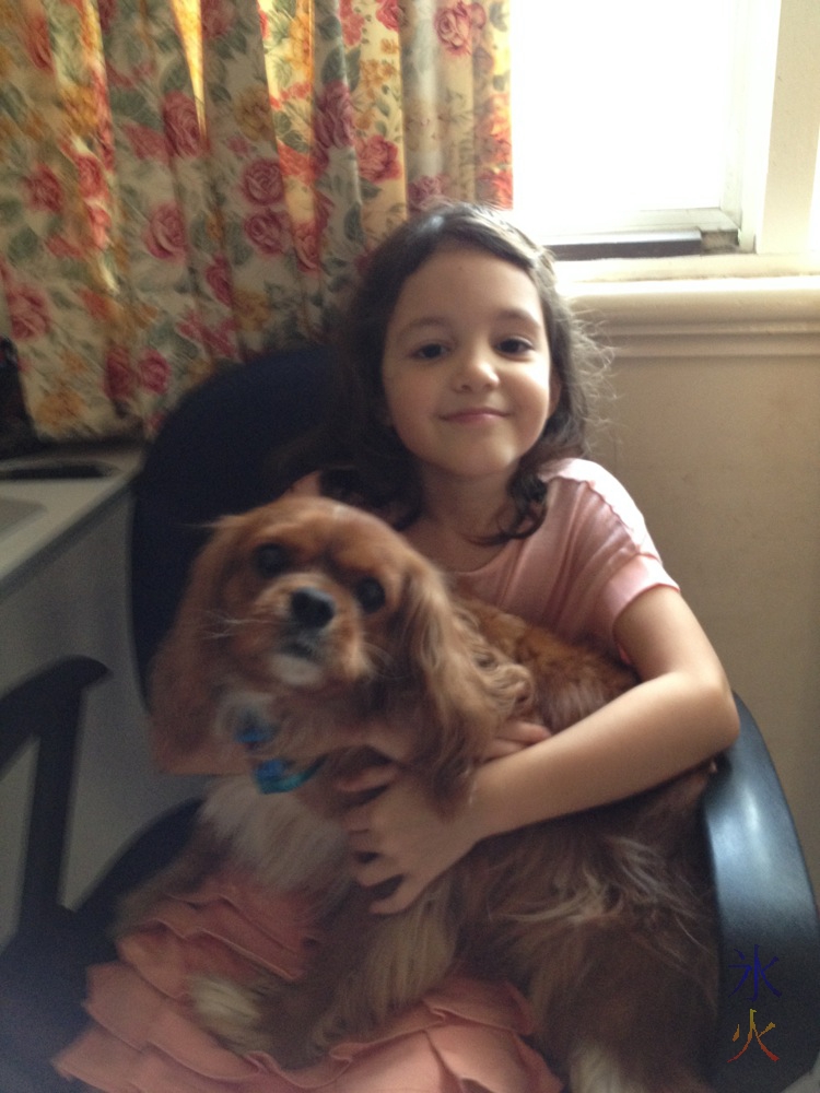 7yo and her spaniel