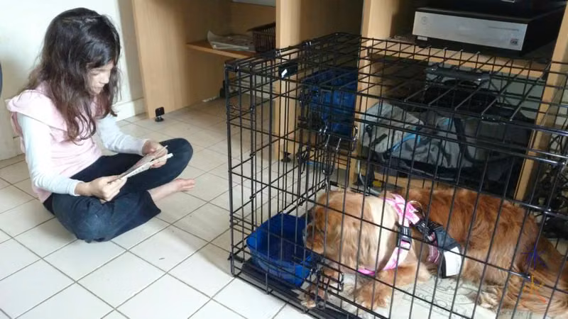 7yo read a few stories to Angus to calm him down.