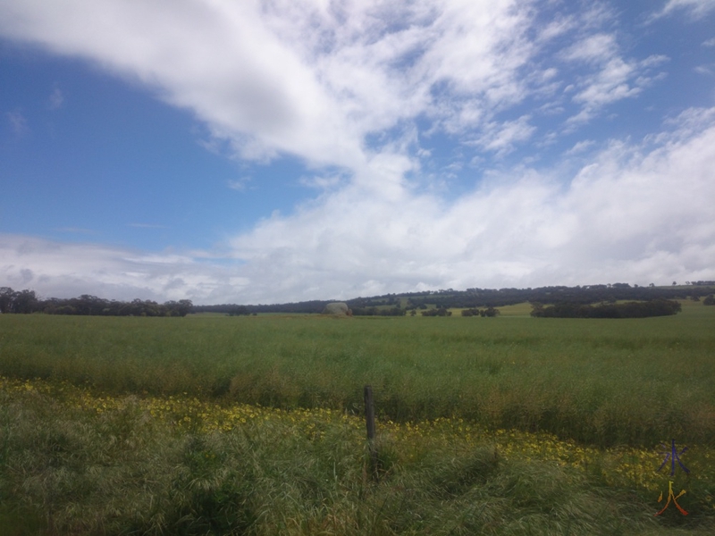 Bad photo of a big rock in a paddock on the way into Beverley, Western Australia