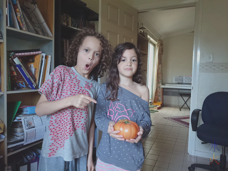 giant tomato