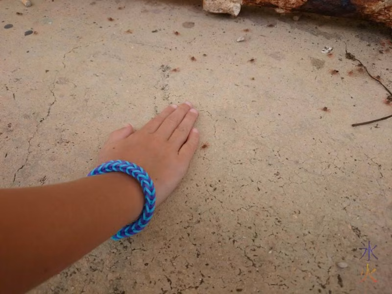 Baby crabs with 8yo hand for comparison. Co-starring a fish-tail loom band bracelet.