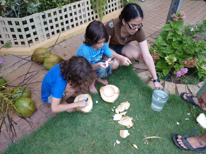 Gorging on coconut flesh