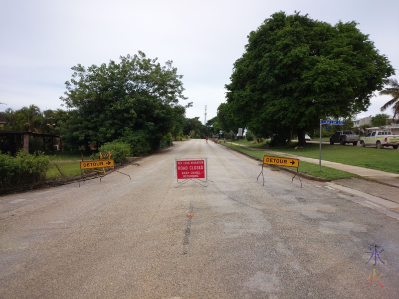 Crab migration detour sign, Drumsite, Christmas Island, Australia