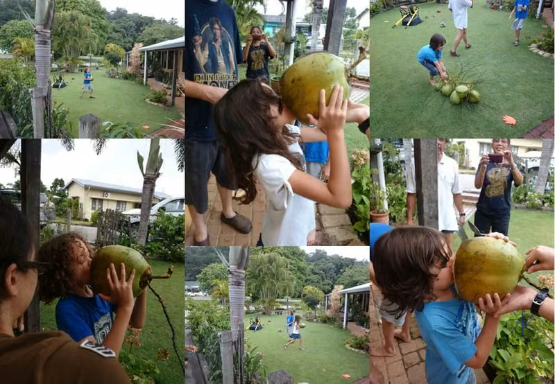 Coconut water fresh from the coconut