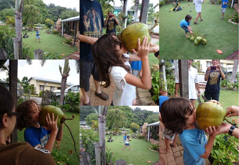 Coconut water fresh from the coconut