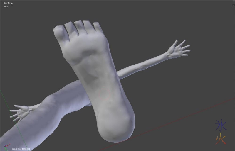 3d foot wip