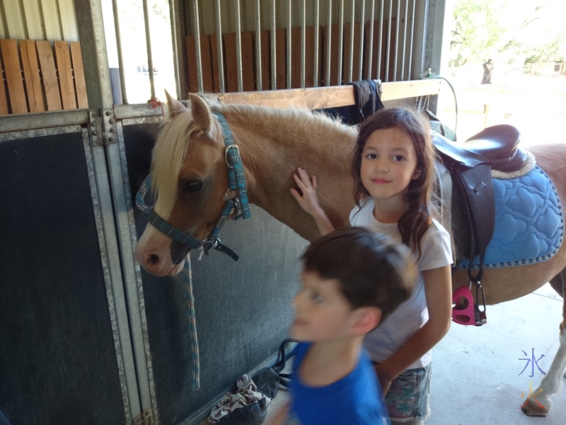 8yo with her riding lesson pony (and 6yo blurring across the foreground)