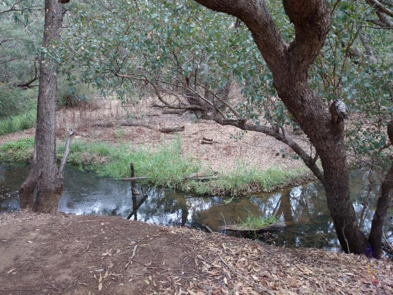 Cross in the water at John Oakey Davis Park, Gosnells, Western Australia