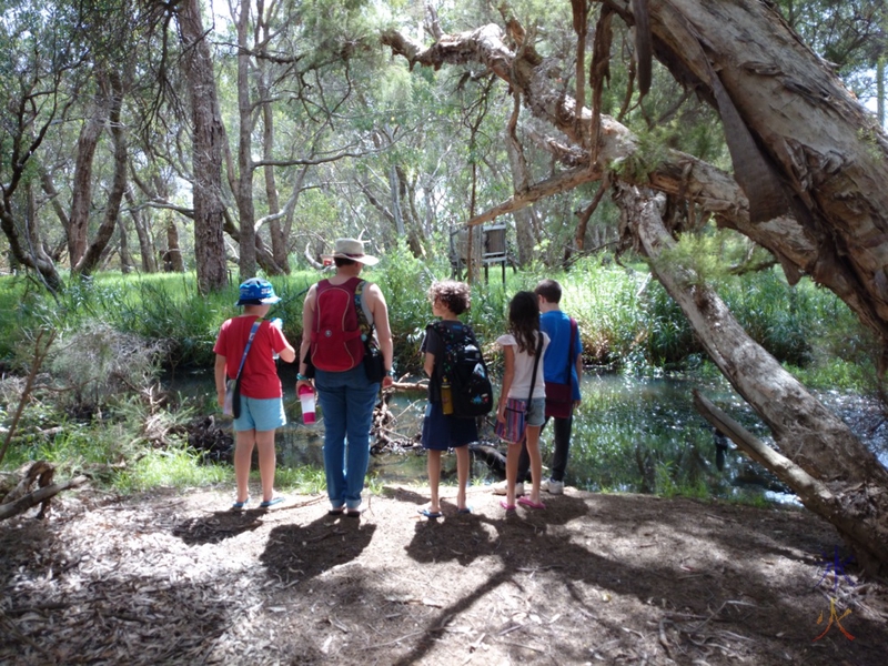 Biology lesson at John Oakey Davis Park, Gosnells, Western Australia