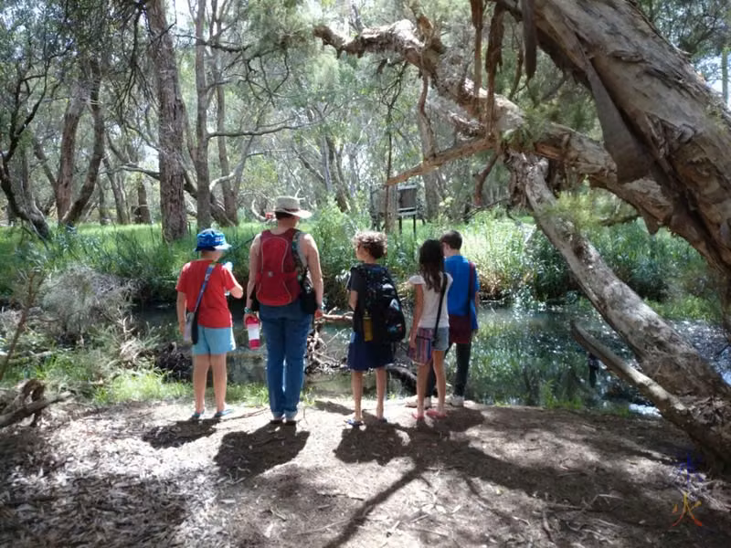 Biology lesson at John Oakey Davis Park, Gosnells, Western Australia
