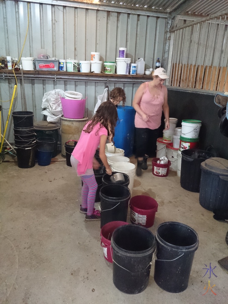 10yo and 8yo helping mix horsefeed