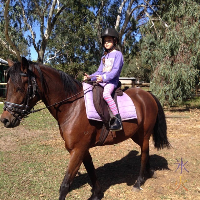 8yo riding large pony taken by riding instructor