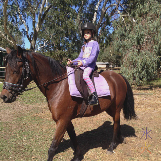 8yo riding large pony taken by riding instructor 8yo riding large pony taken by riding instructor