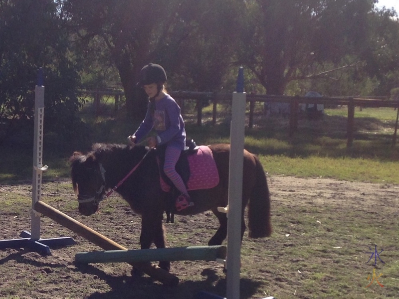 8yo riding Shetland pony taken by riding instructor