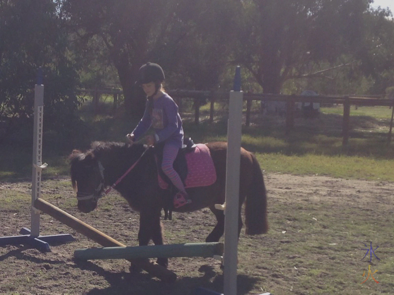 8yo riding Shetland pony taken by riding instructor 8yo riding Shetland pony taken by riding instructor