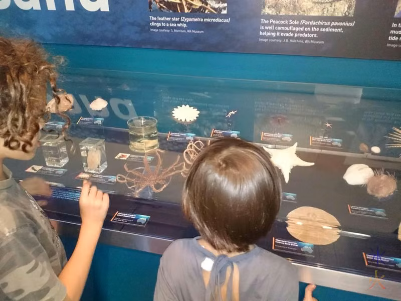 10yo reading labels on one of the displays at the Museum of Western Australia to 6yo
