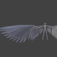 Avian model with 10m wingspan