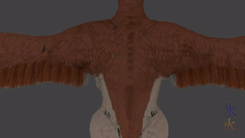 3d mega-pidgeot small coverts back view