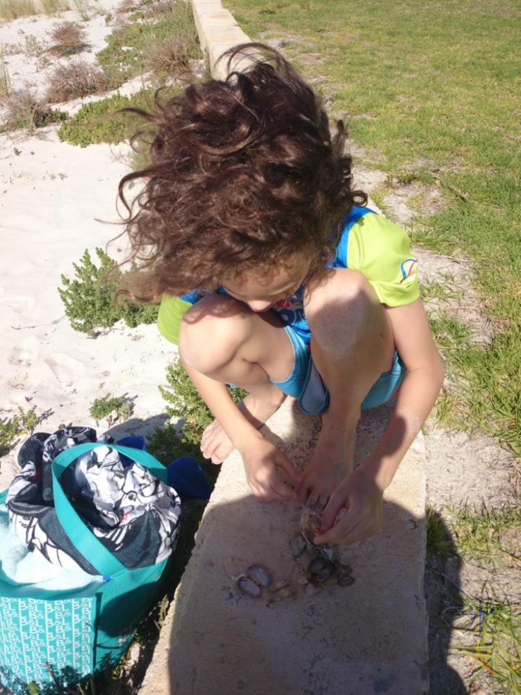 10yo with bivalve shell collection from beach at Marina at Jurien Bay, Western Australia