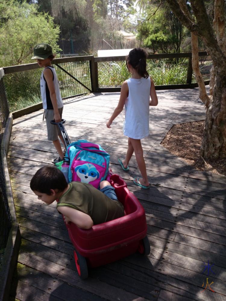 10yo playing tour guide for 6yo at Perth Zoo, Western Australia