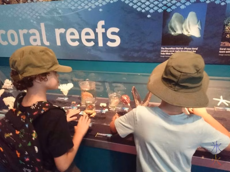 Kids investigaring sea life displays at Western Australian Museum