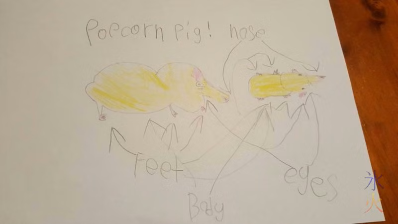 Guinea pig diagram drawn by 9yo