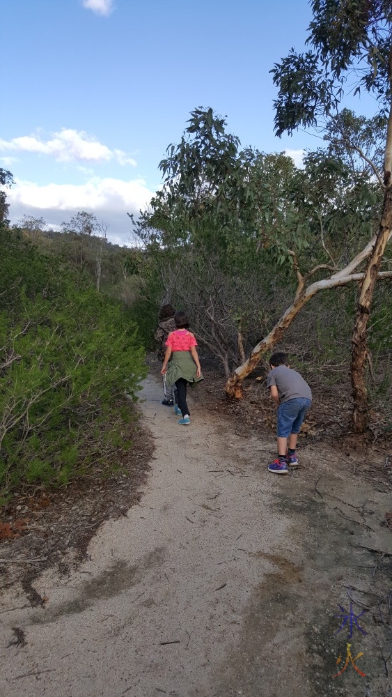 Kids on the bushwalk trail in a xanthorrhoea dominant park