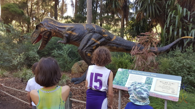 Theropod at the Perth Zoo, Western  Australia