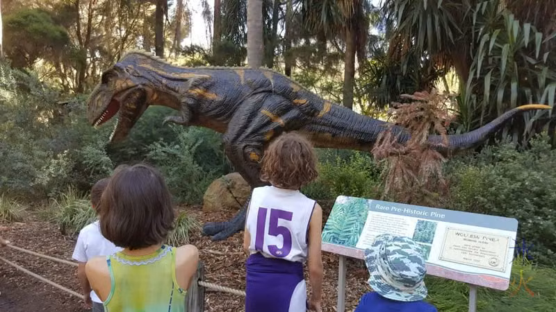 Theropod at the Perth Zoo, Western  Australia