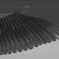 Avian feather progress